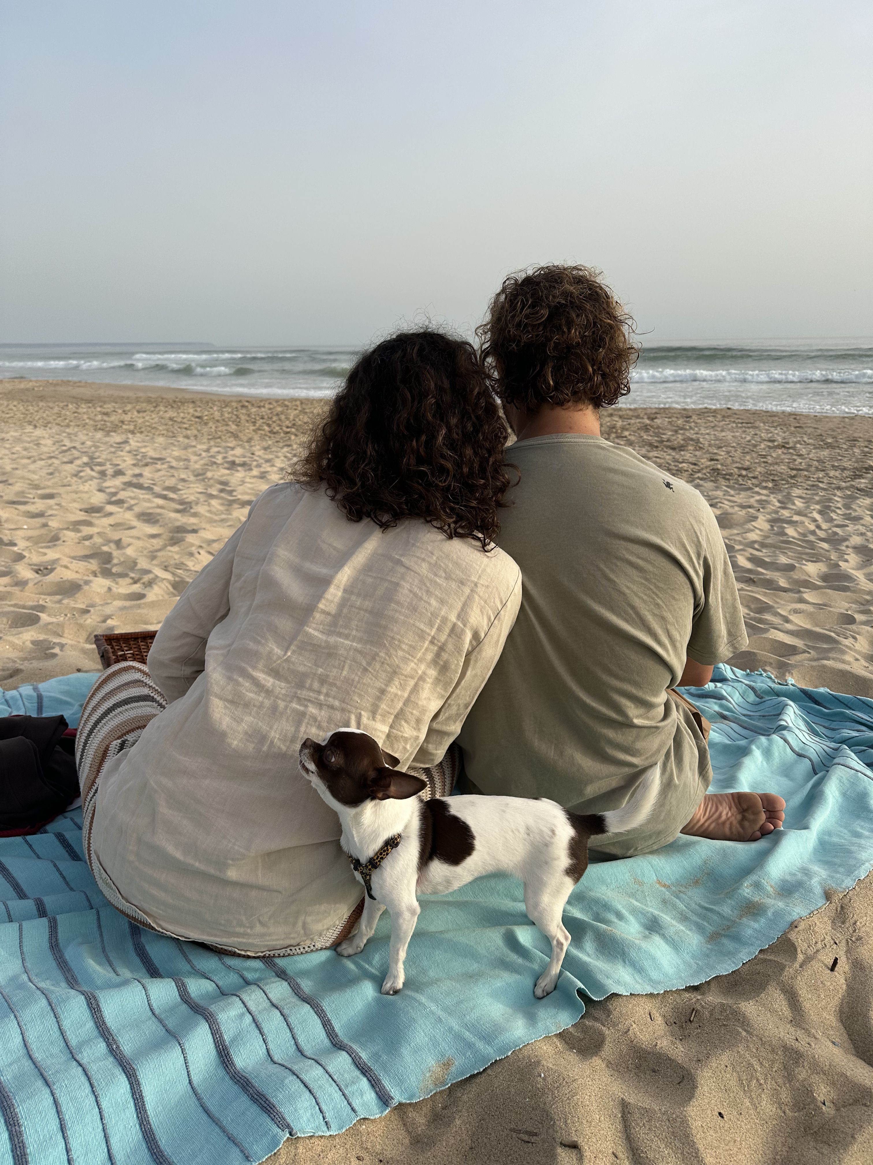 Romantic proposal at sunset